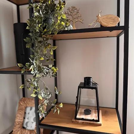 Goldy With Private Garden Daire Burgaz